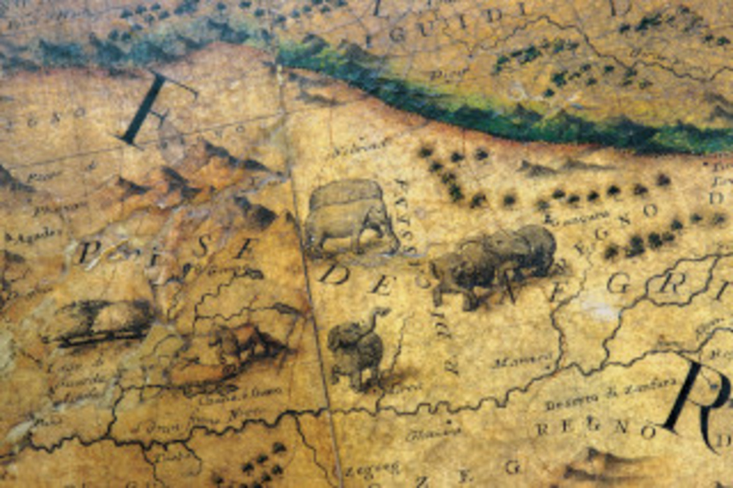 <b>Detailaufnahme von Coronellis Erdglobus</b></br>Kölnisches Stadtmuseum | Bildnachweis: Kölner Gymnasial- und Stiftungsfonds